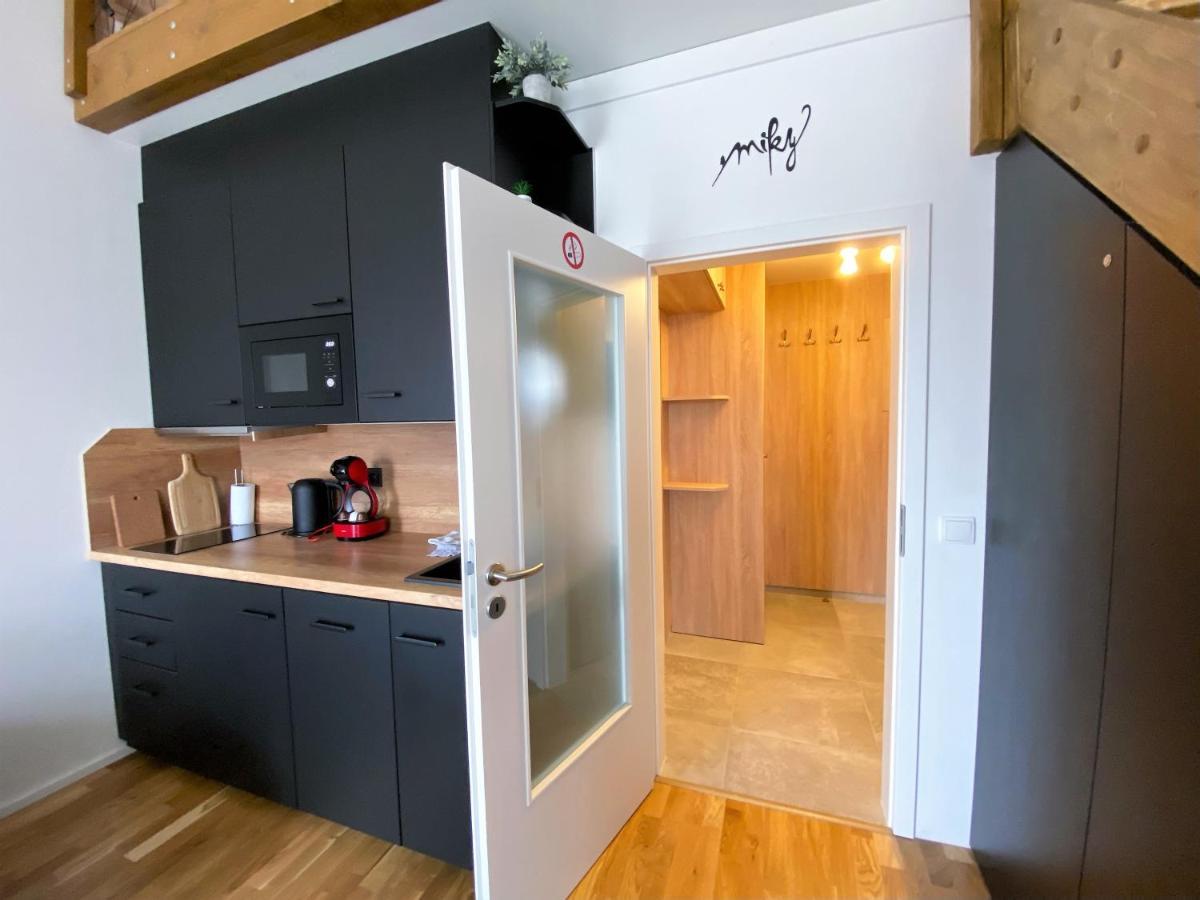 Miky Apartman Klinovec View โลชนา โปด กลิโนฟเซม ภายนอก รูปภาพ