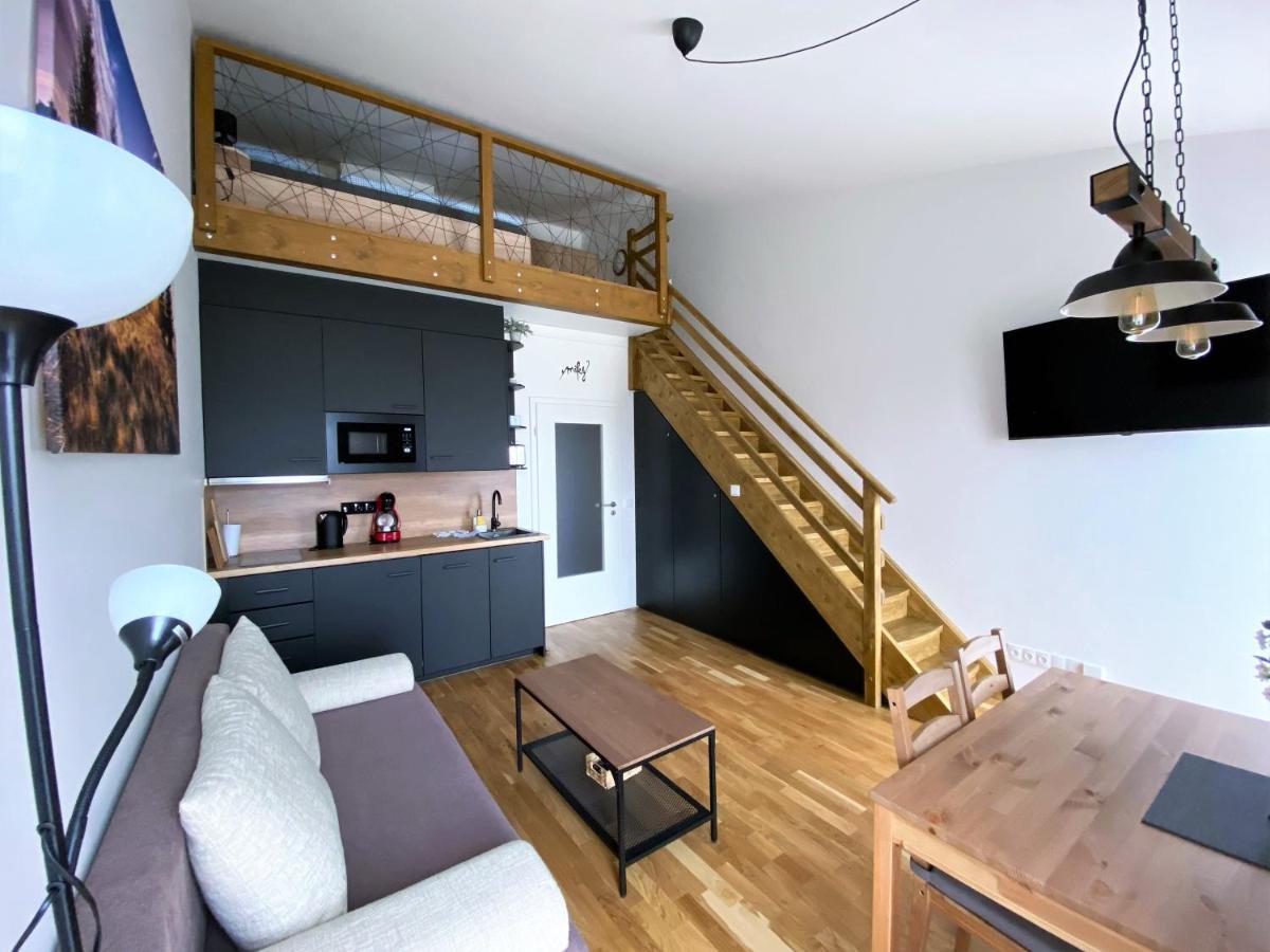 Miky Apartman Klinovec View โลชนา โปด กลิโนฟเซม ภายนอก รูปภาพ