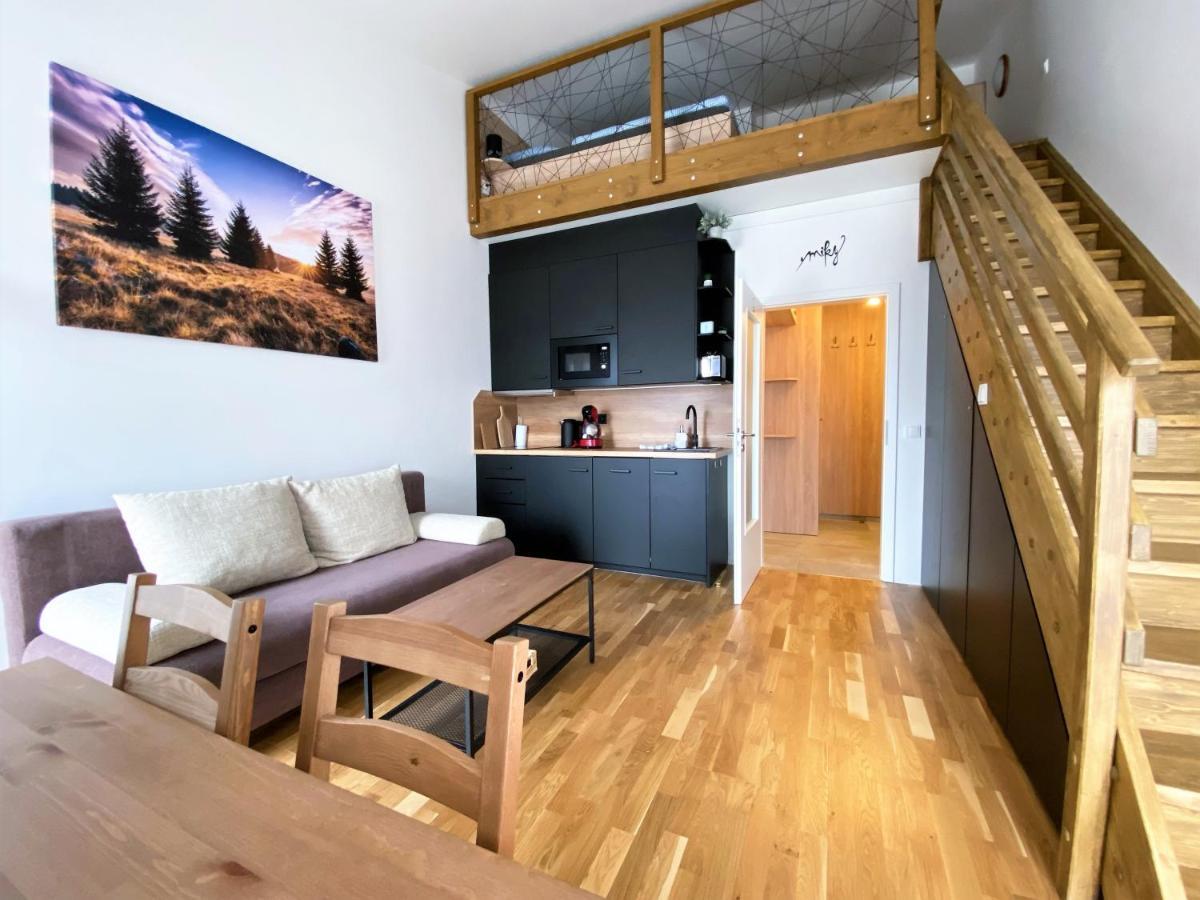 Miky Apartman Klinovec View โลชนา โปด กลิโนฟเซม ภายนอก รูปภาพ